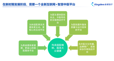 中藥互聯網項目概況與網站設計要點